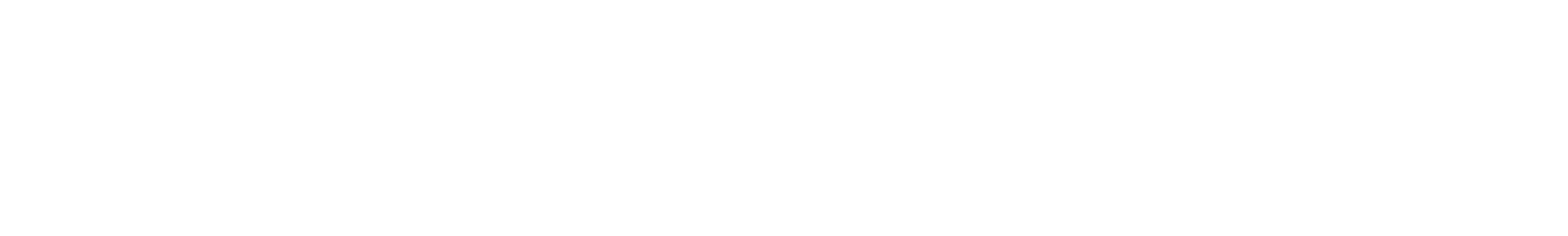 Viva Wallet Logo